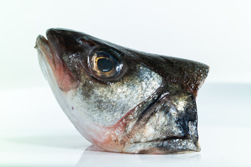 Macro close up shot of a cut of sea bass  head on a plate isolated against pure white background