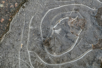 Closeup background.Ice on a puddle.