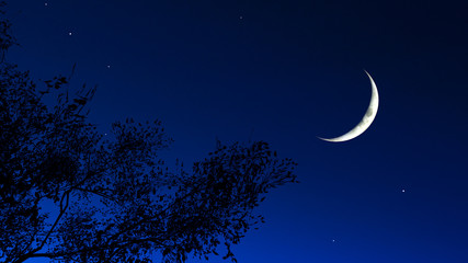 Ramadan Moon Sighting Committee to meet today