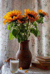 A bright bouquet of sunflowers in a vintage clay jug, books, cookies, and a glass of milk on a lace tablecloth by the curtained window. Still life in retro style.