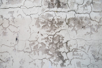 White cement wall with Mold texture background