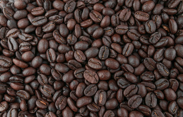 Dark coffee beans placed on a white scene.