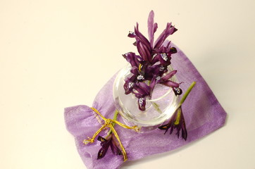 On a light background, a beautiful gift bag and fresh flowers of purple irises.