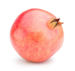 Indian Pomegranate fruit with water drop isolated on white background. Pomegranate clipping path.