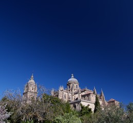 Fototapeta na wymiar New Cathedral In Salamanca