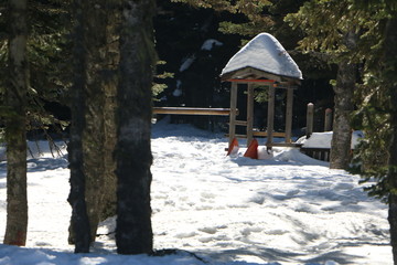 house in winter forest