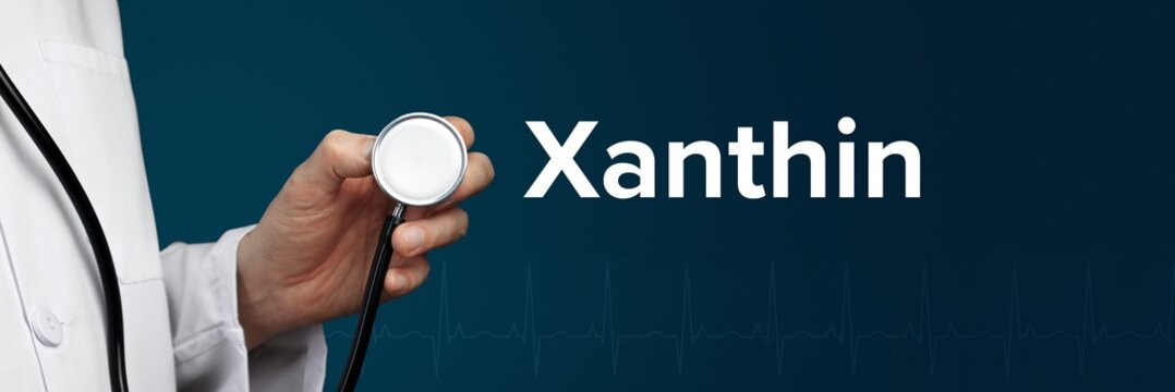 Xanthin. Arzt im Kittel h&auml;lt Stethoskop. Das Wort Xanthin steht daneben. Symbol f&uuml;r Medizin, Krankheit, Gesundheit