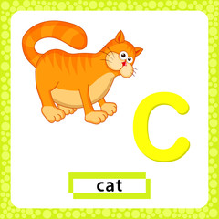 Letter C lowercase. Alphabet letter C with funny cat isolated on white background. Cute colorful Zoo and animals ABC alphabet in cartoon style. Education card for kids learning English vocabulary.
