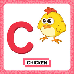 Letter C uppercase. Alphabet letter C with funny Chicken isolated on white background. Cute colorful Zoo and animals ABC alphabet in cartoon style. Education card for kids learning English vocabulary.