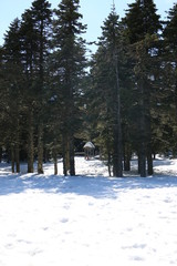 park in winter