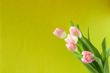 Bouquet of flowers, pink tulips on a light green background