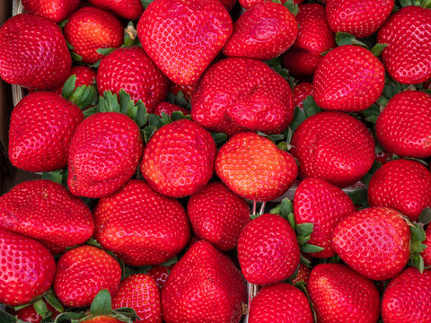  Full frame image of bright red strawberries