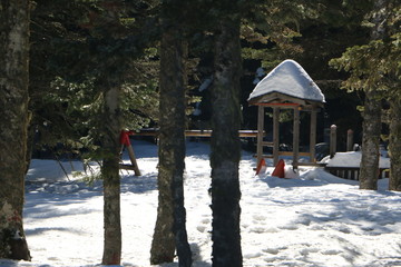 wooden house in snow