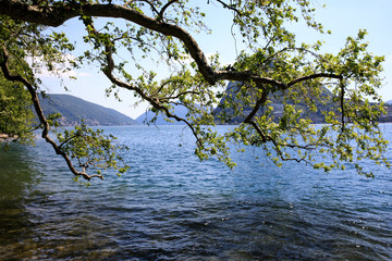 Lugano / Switzerland - June 01, 2019: Lugano lake view, Lugano, Switzerland, Europe