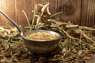 Soy beans in a metal shell on an organic background