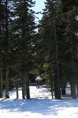 park in winter
