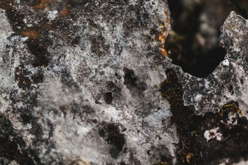 macro shooting of fireplace in nature