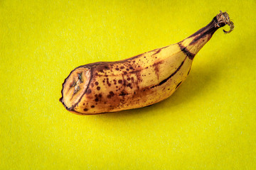 Banana, half banana, spoiled banana on a in yellow background. Organic waste overripe fruit.