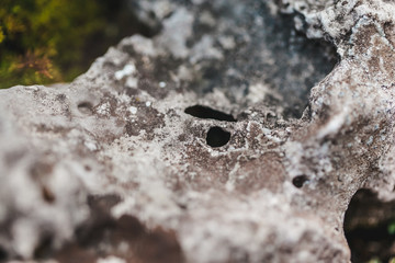 macro shooting of fireplace in nature