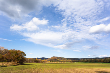 日本・北海道東部の国立公園、弟子屈町の草原