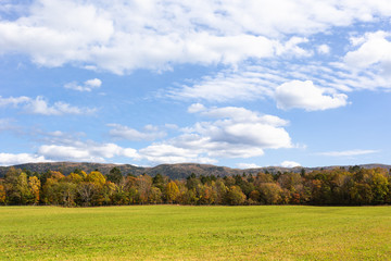 Fototapeta premium 日本・北海道東部の国立公園、弟子屈町の草原