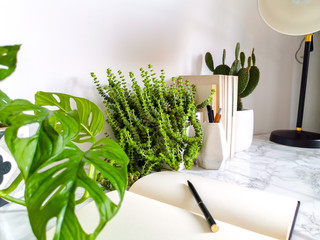 Bright white interior with indoor plants and stationery creating a no stress work environment