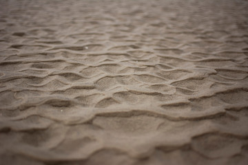 ripples in the sand