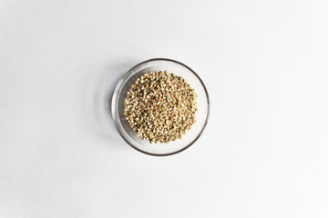 Green buckwheat heap in glass bowl on white background 
