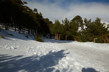 Snowy landscape of the Sierra de Guadarrama in Spain