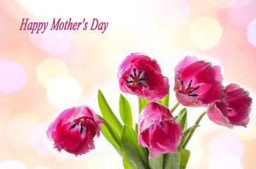 Happy Mother's Day, text, tulips on an abstract background. Spring floral background. Greeting card concept for a woman.