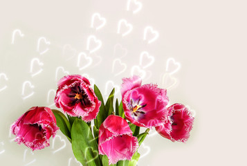 Tulips on an abstract background, a bouquet. Spring floral background. Greeting card concept for a woman.
