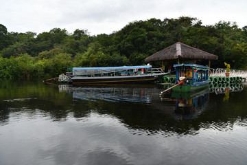 Obraz premium views of the river channel in the Amazon jungle in Brazil