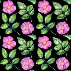 Watercolor seamless pattern with rose hips.