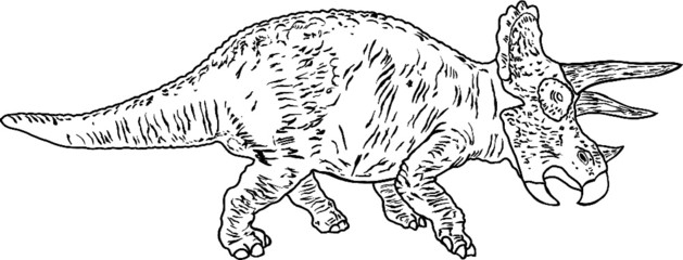 Triceratops illustration/coloring sheet