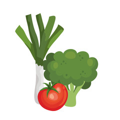 fresh broccoli with vegetables isolated icons vector illustration design
