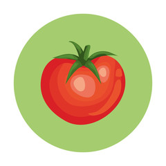 fresh tomato vegetable in frame circular vector illustration design
