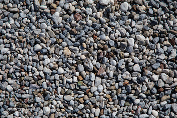 little pebbles on the beach