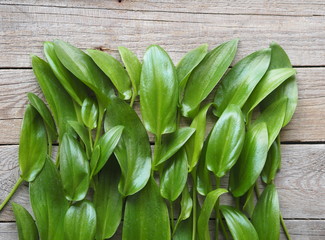 Fototapeta premium Natural background concept, wooden ancient background with green leaves of tropical plant.