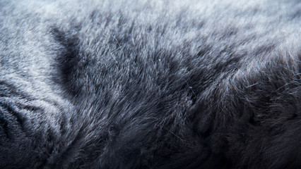 texture background