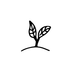 Black and white image of a sprout. Vector illustration. Hand-drawn doodle for design, web, icons.