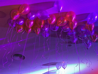 Helium balloons . Colorfull balloons float on the white ceiling in the room for the party. Wedding or children birthday party decoration interior .
