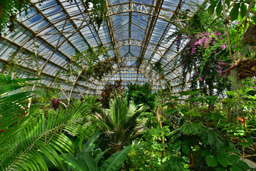 Fototapeta na wymiar Christchurch Botanic Gardens, New Zealand
