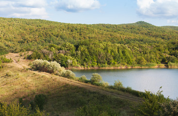 Fototapeta premium Rural summer landscape