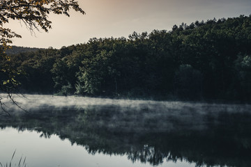 Obraz na płótnie Canvas Scary landscape with dark forest and fog over lake