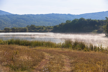 Coastal summer landscape. Foggy lake