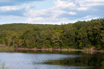 Coastal landscape with forest and small lake