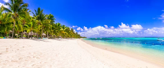 Photo sur Plexiglas Le Morne, Maurice Best tropical beach destination - paradise island Mauritius, Le Morne beach