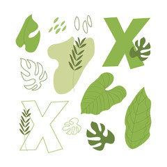 Vector flat letter X. Abstract set with green letter and tropical leaves, isolated on white. Perfect for ecology design, logo, icon, poster, sticker, print, card