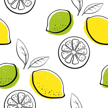 Lemon, lime. Seamless pattern. Colorful line sketch collection of citrus fruits isolated on white background. Doodle hand drawn vector illustration