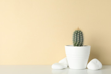 Cactus in pot and stones against beige background, space for text